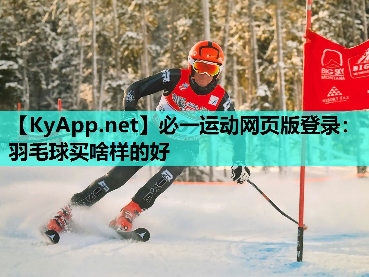 必一运动网页版登录：羽毛球买啥样的好