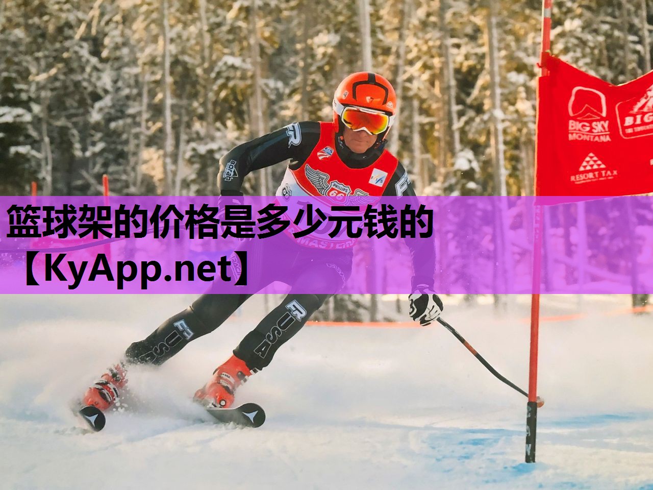 篮球架的价格是多少元钱的