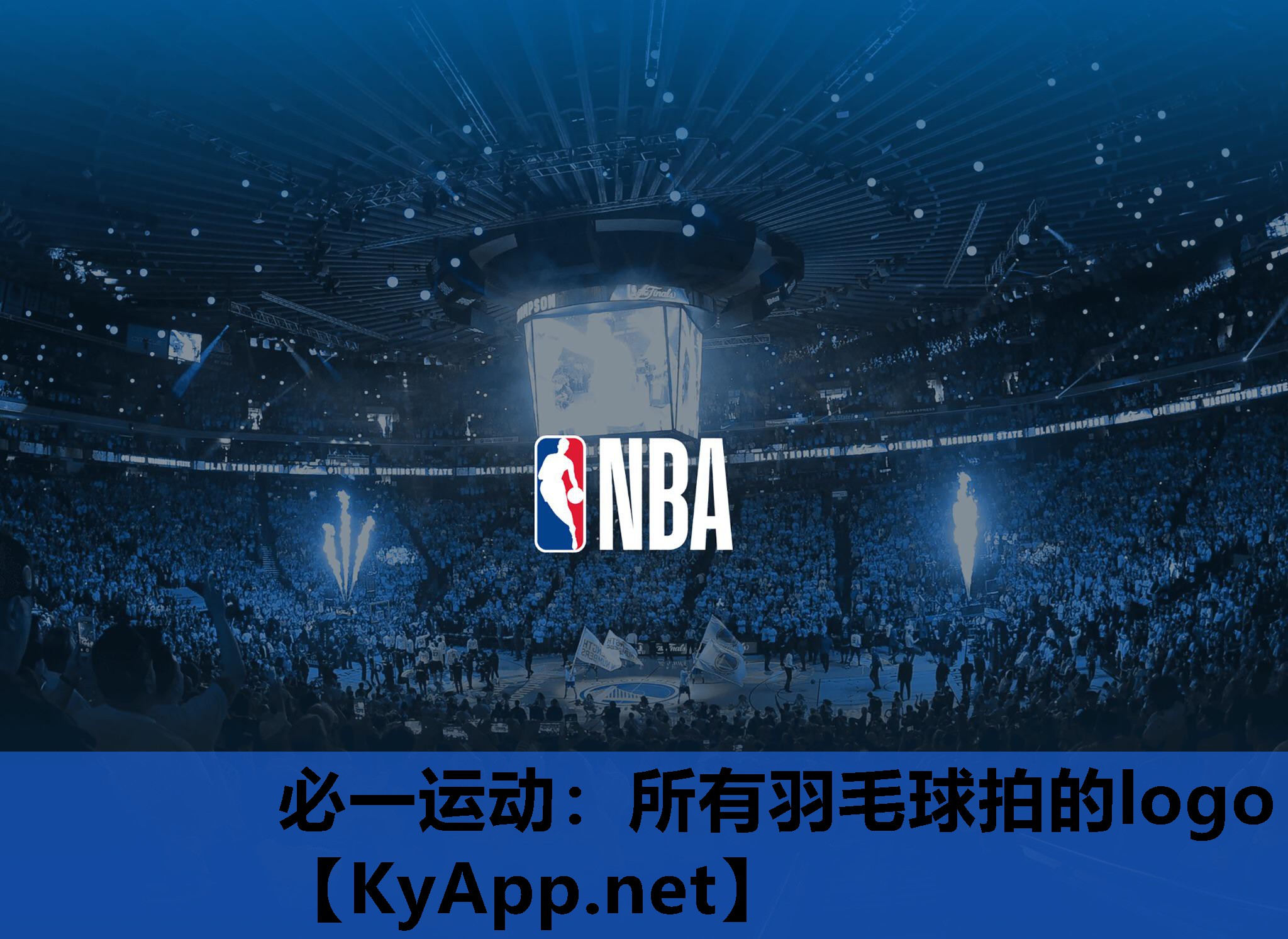 所有羽毛球拍的logo