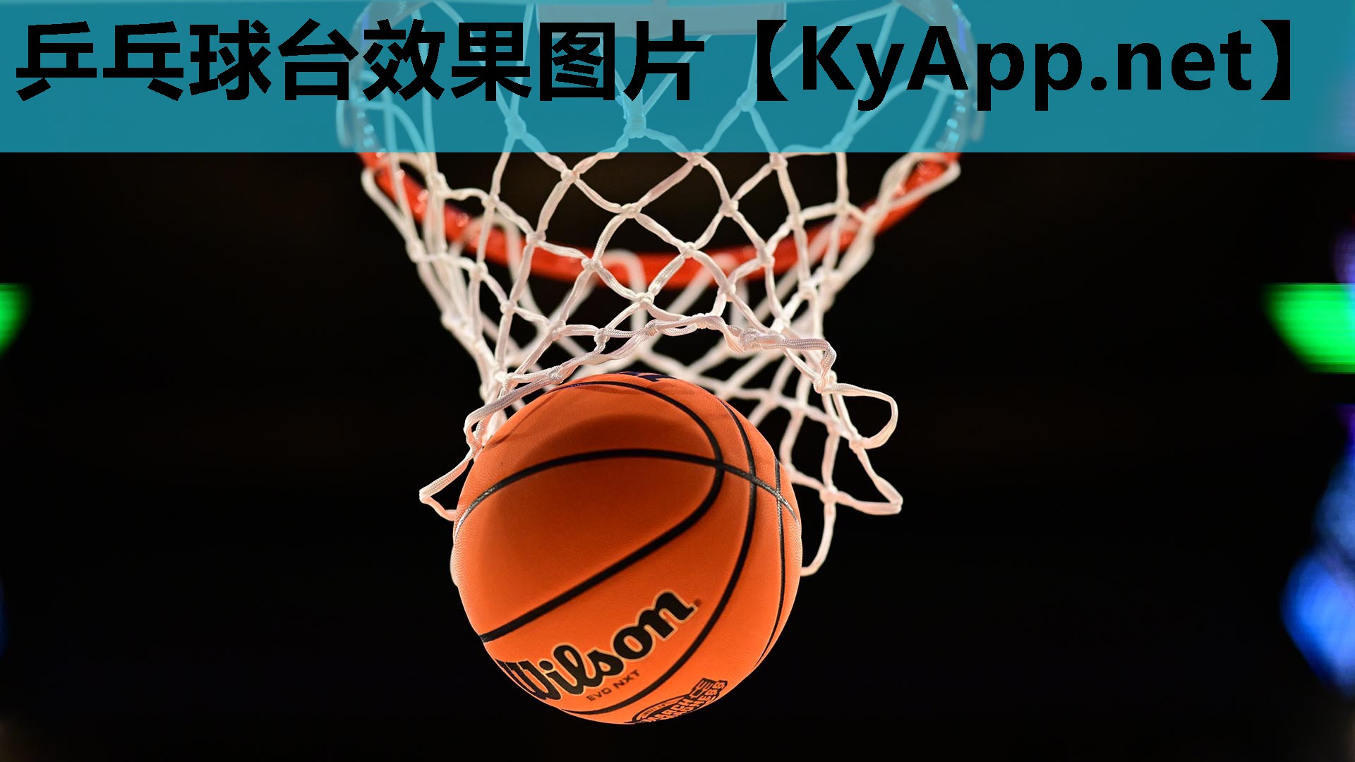 乒乓球台效果图片