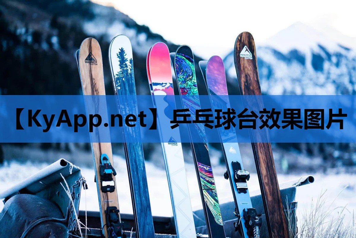 乒乓球台效果图片