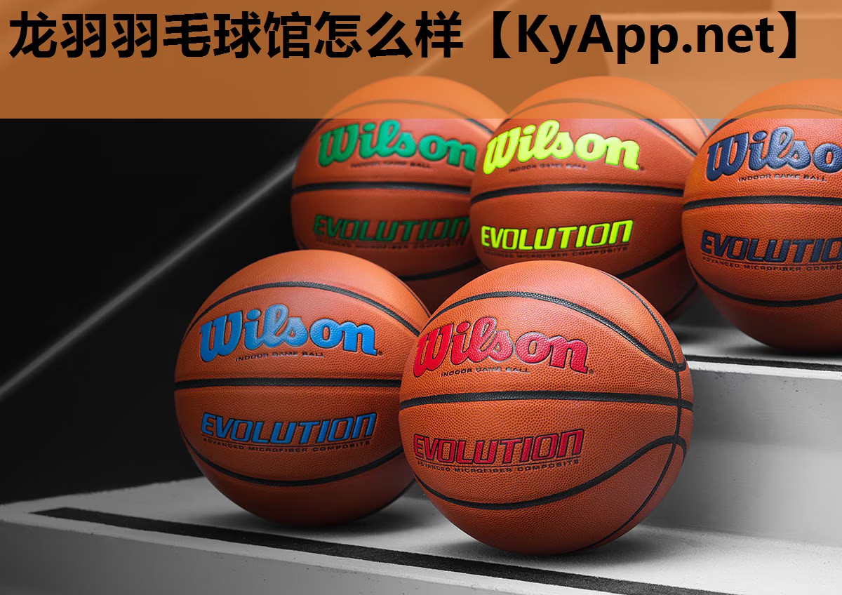 龙羽羽毛球馆怎么样