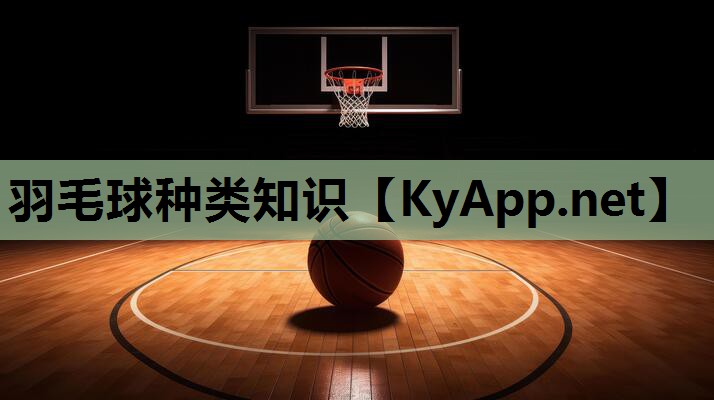 羽毛球种类知识