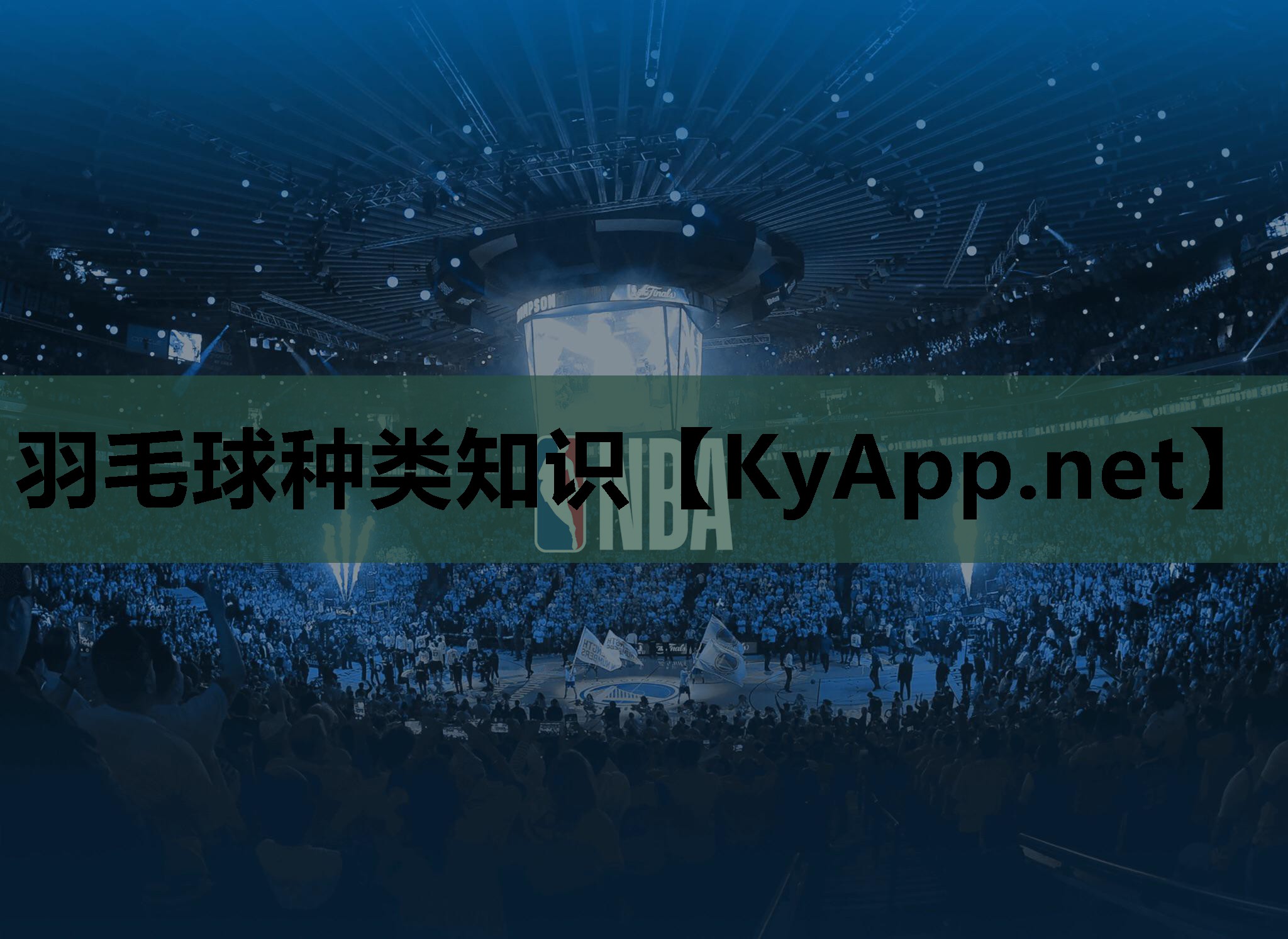 羽毛球种类知识